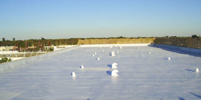 Overcoming Obstacles on a Florida Roof