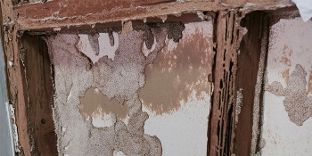 Termites, Spray Foam, and Building Codes