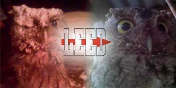 “Insul-Owl” Saved due to Compassion of Florida Spray Foam Applicator